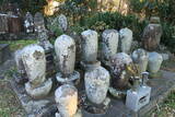 相模 道場城山の写真