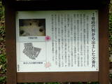 相模 早川城の写真