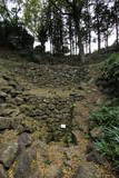 相模 石垣山城の写真