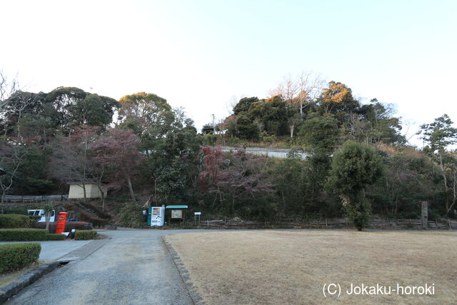 相模 小磯城の写真