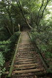 相模 高麗山城の写真