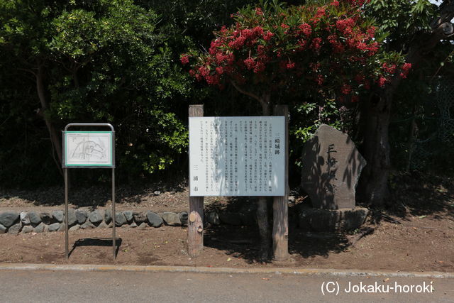 相模 三崎城の写真