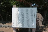 相模 三崎城の写真