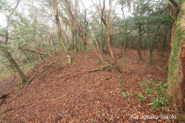 相模 御所山城の写真