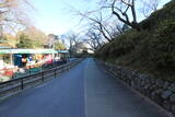 相模 小田原城の写真