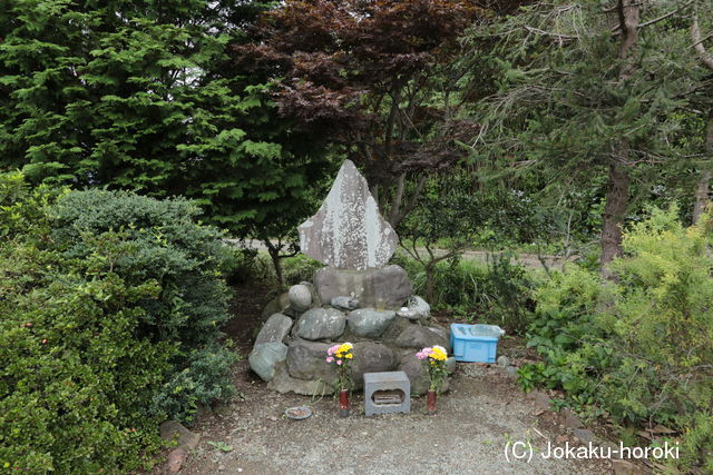 相模 和田屋敷(小田原市)の写真