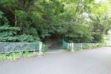 相模 佐原城の写真