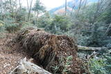 相模 上の山城の写真