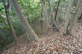 相模 上の山城の写真