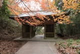 讃岐 天霧城の写真