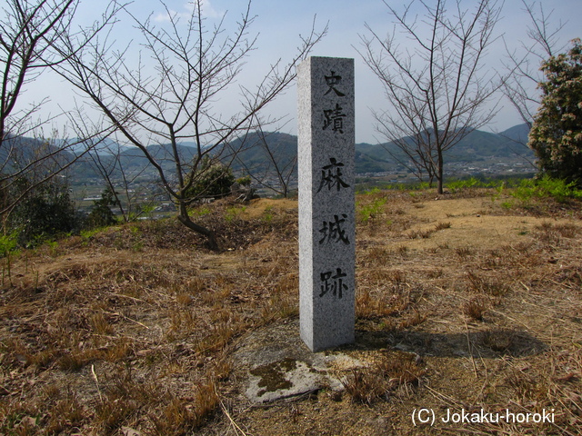 讃岐 麻城の写真