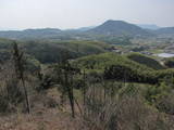 讃岐 麻城の写真