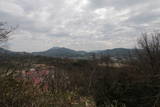 讃岐 土井城の写真