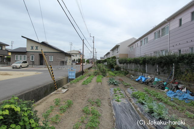 讃岐 遠藤城の写真