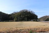 讃岐 後藤城の写真