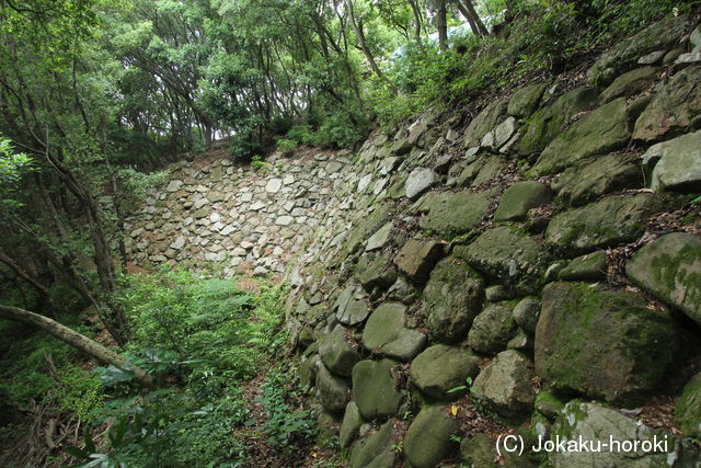 讃岐 引田城の写真