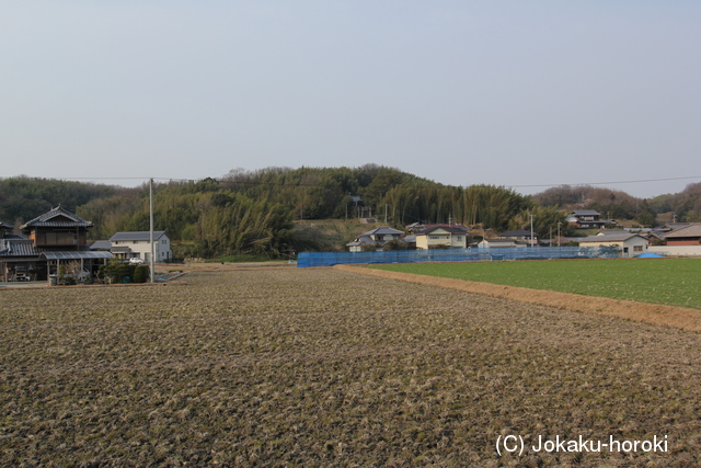 讃岐 伊賀城の写真