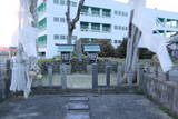 讃岐 乾城の写真