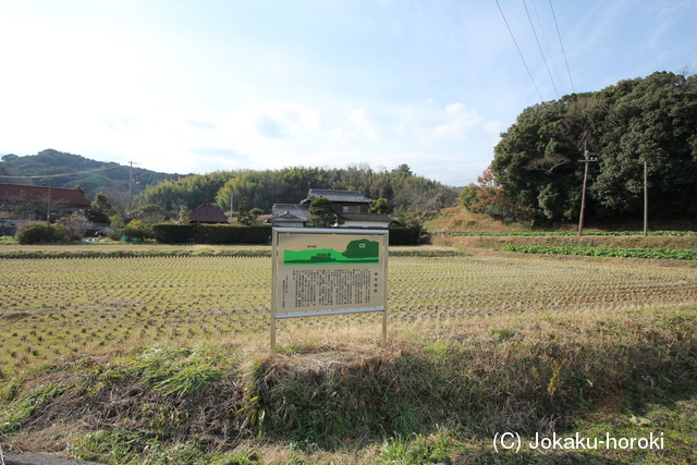 讃岐 神内城の写真