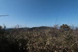 讃岐 城守山城の写真