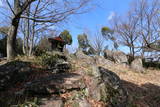 讃岐 城山城の写真