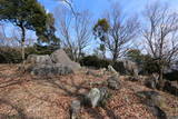 讃岐 城山城の写真