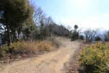 讃岐 城山城の写真