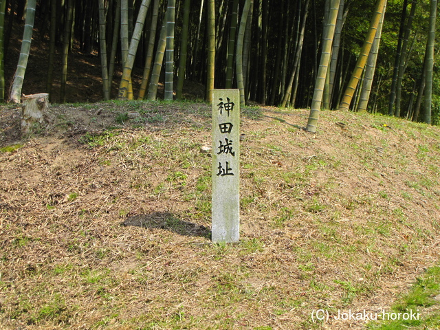 讃岐 神田城の写真