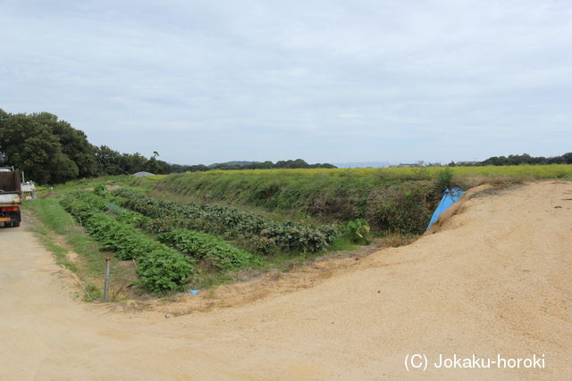 讃岐 西庄城の写真