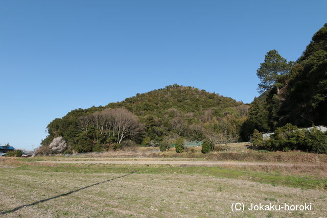 讃岐 黒羽城の写真