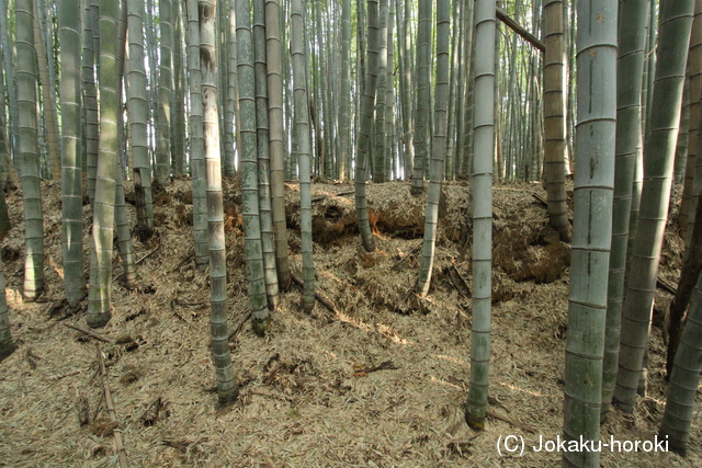 讃岐 木山城の写真