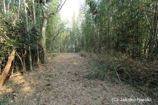 讃岐 城ノ岡城の写真