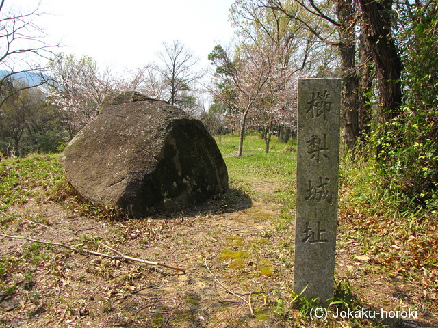 讃岐 櫛梨山城の写真