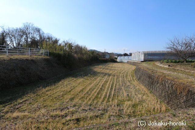 讃岐 前田東城の写真