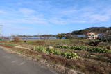 讃岐 前田東城の写真