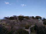 丸亀城写真