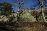 讃岐 丸亀城の写真