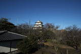 讃岐 丸亀城の写真