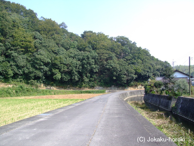 讃岐 丸山城の写真