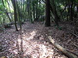 讃岐 丸山城の写真