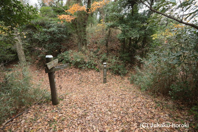 讃岐 海崎城の写真