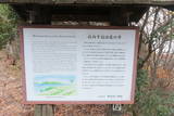 讃岐 海崎城の写真