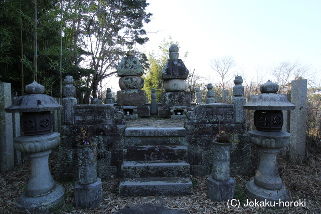 讃岐 三谷城の写真