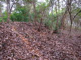 讃岐 室山城の写真