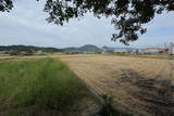讃岐 中田井城の写真
