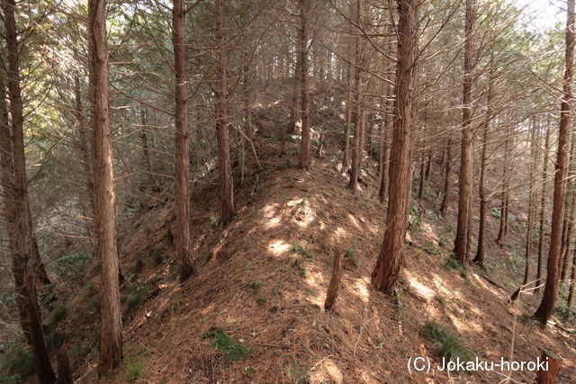 讃岐 中峠城の写真