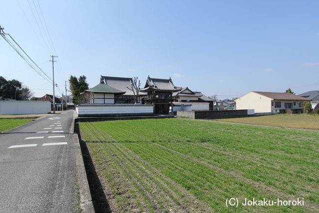 讃岐 中坪城の写真