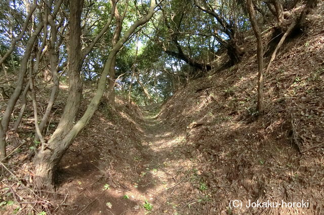 讃岐 直島城の写真