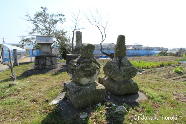 讃岐 二条城の写真