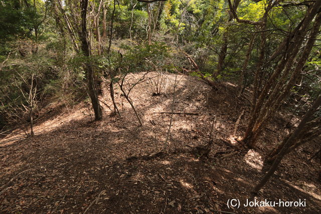 讃岐 大麻山城の写真